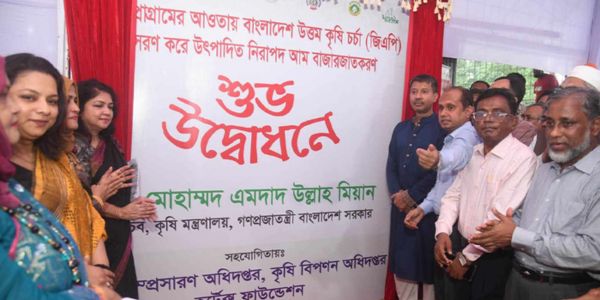 আম উৎপাদনে উত্তম কৃষি চর্চা সারা দেশে ছড়িয়ে দিতে হবে : কৃষিসচিব